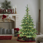 PE, PVC Christmas Tree, Christmas Decorations, Holiday Decorations - The Premium