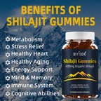 Jiabeikang New Design Wholesale Health Food Supplements Pure Himalayan Shilajit Gummies