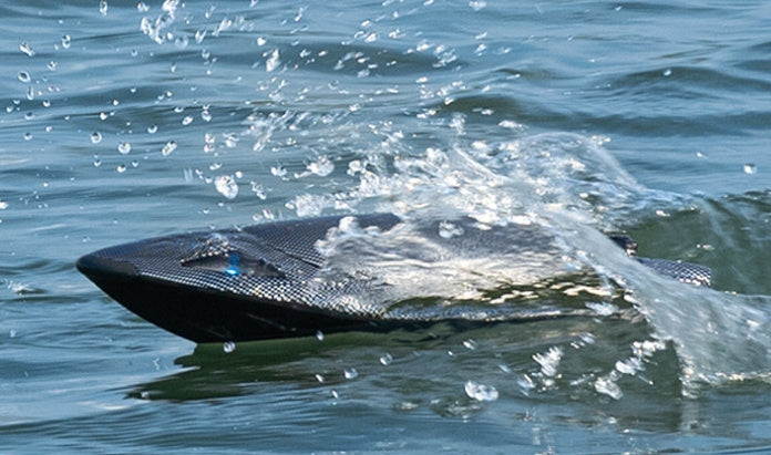 Remotecontrol Ship Rowing Water Racing Toy