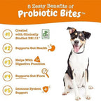 315g Probiotic Chewable Tablets Dog Food Cat Food Intestinal Health