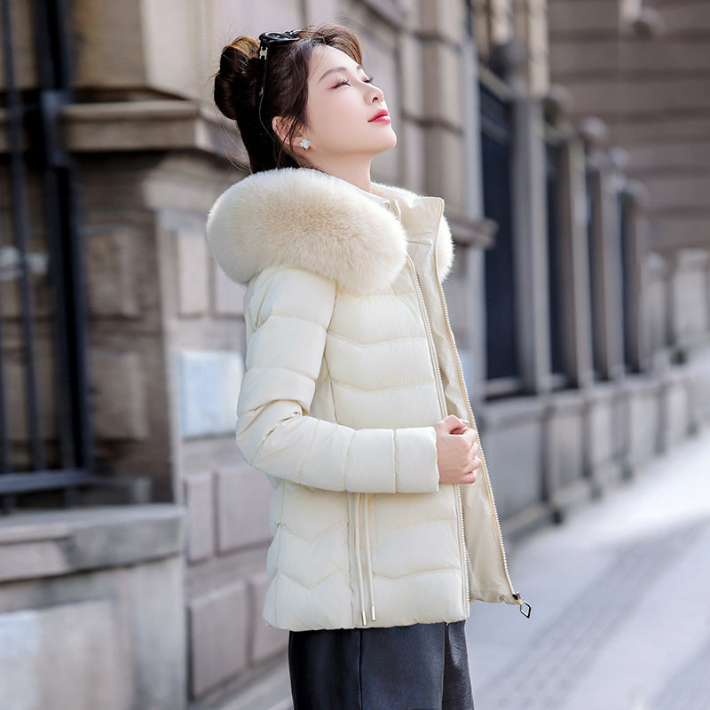 Removable Cap Down Cotton Small Padded Jacket