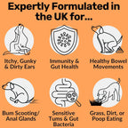 Dog Prebiotics Digestive Snacks Intestinal Health Pet Health Care Products