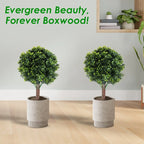 2 Packs Faux Boxwood Ball Trees Artificial Peanut Topiary Tree UV Resistant Artificial Shrubs Fake Plants Evergreen Artificial Bush With Ground Spike For Indoor Outdoor Front Porch Garden - The Premium
