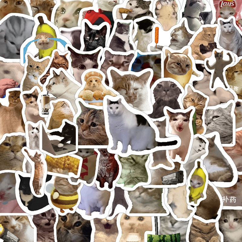 110 Cute Cat Stickers Funny
